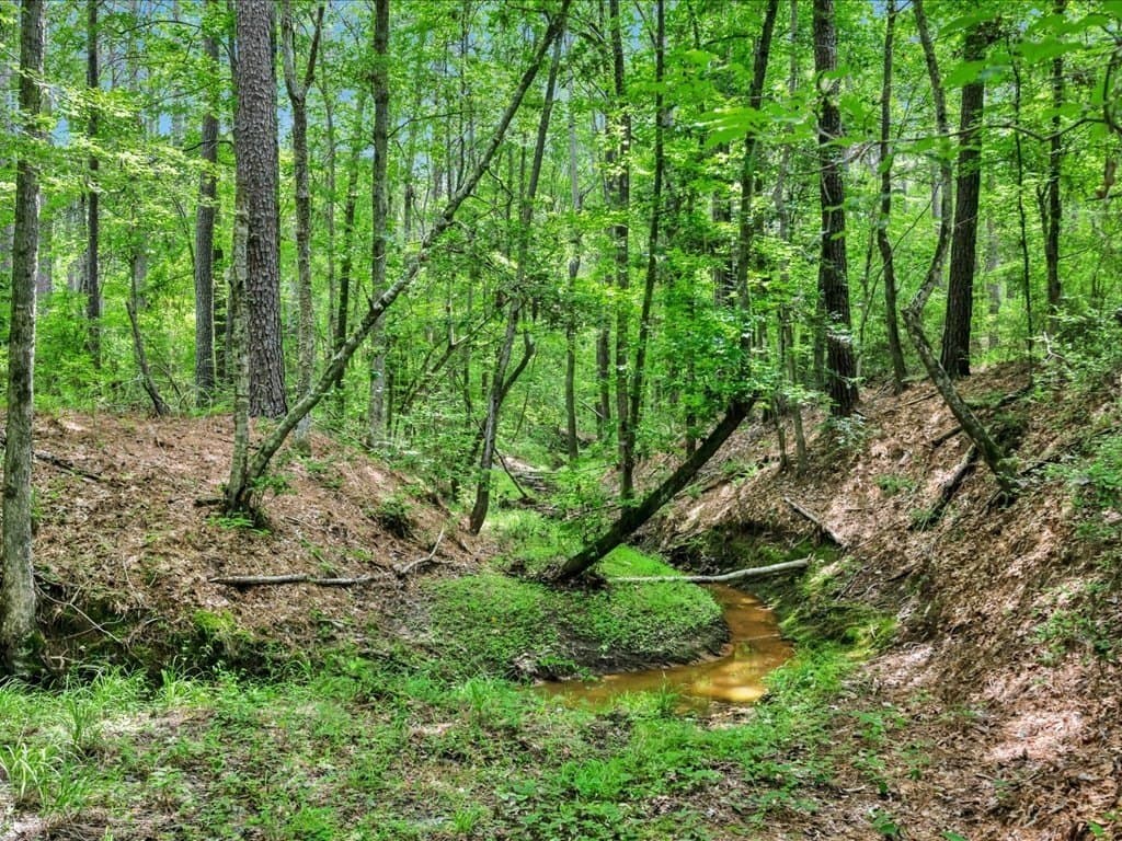 22 acres in Texas County gallery image 4