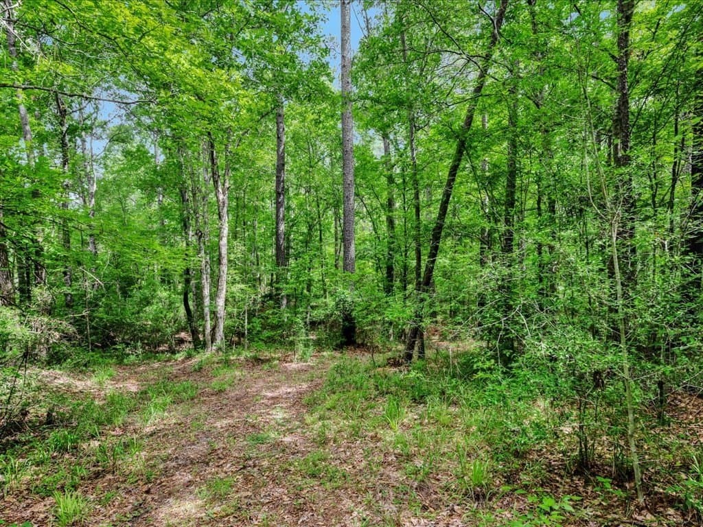 22 acres in Texas County gallery image 3