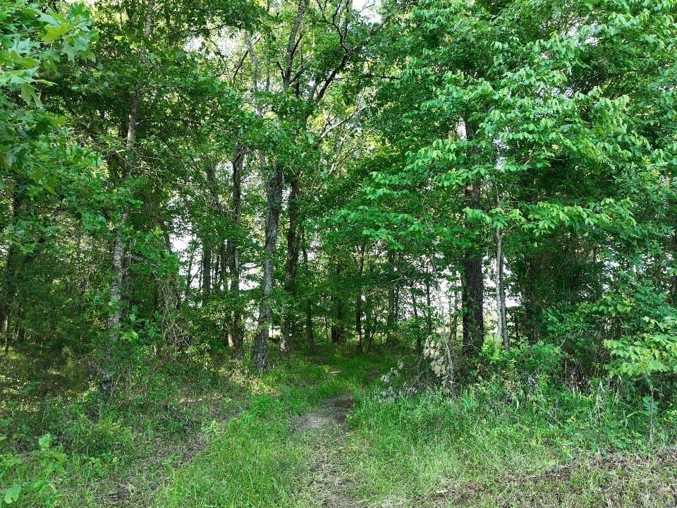 102.04 acres in Red River (TX) County - photo 18