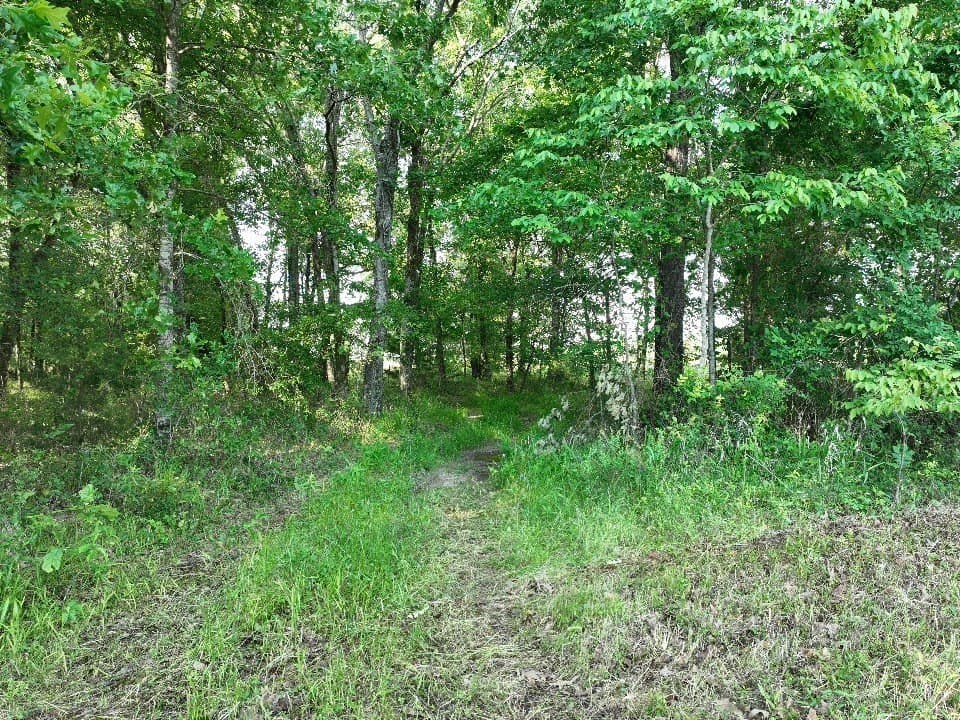 102.04 acres in Red River (TX) County - photo 19
