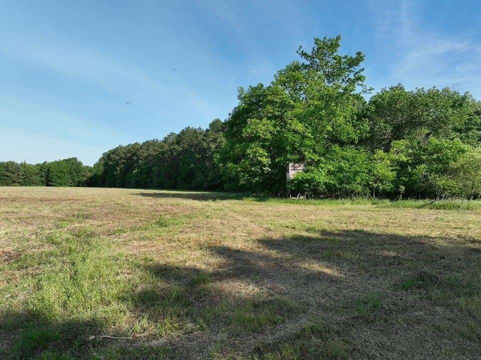 102.04 acres in Red River (TX) County - photo 11