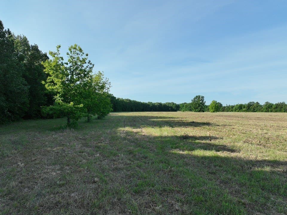 102.04 acres in Red River (TX) County - photo 10