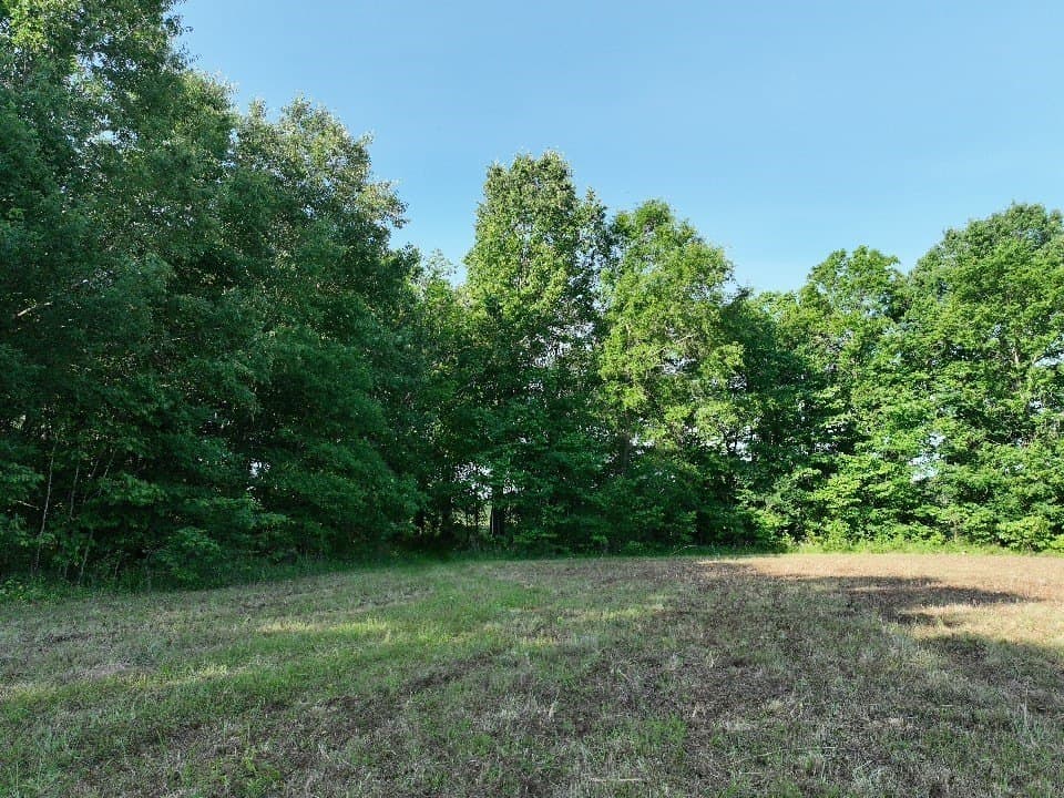 102.04 acres in Red River (TX) County - photo 17