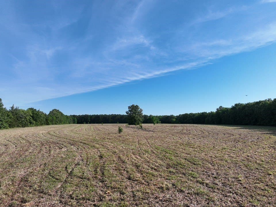102.04 acres in Red River (TX) County - photo 16