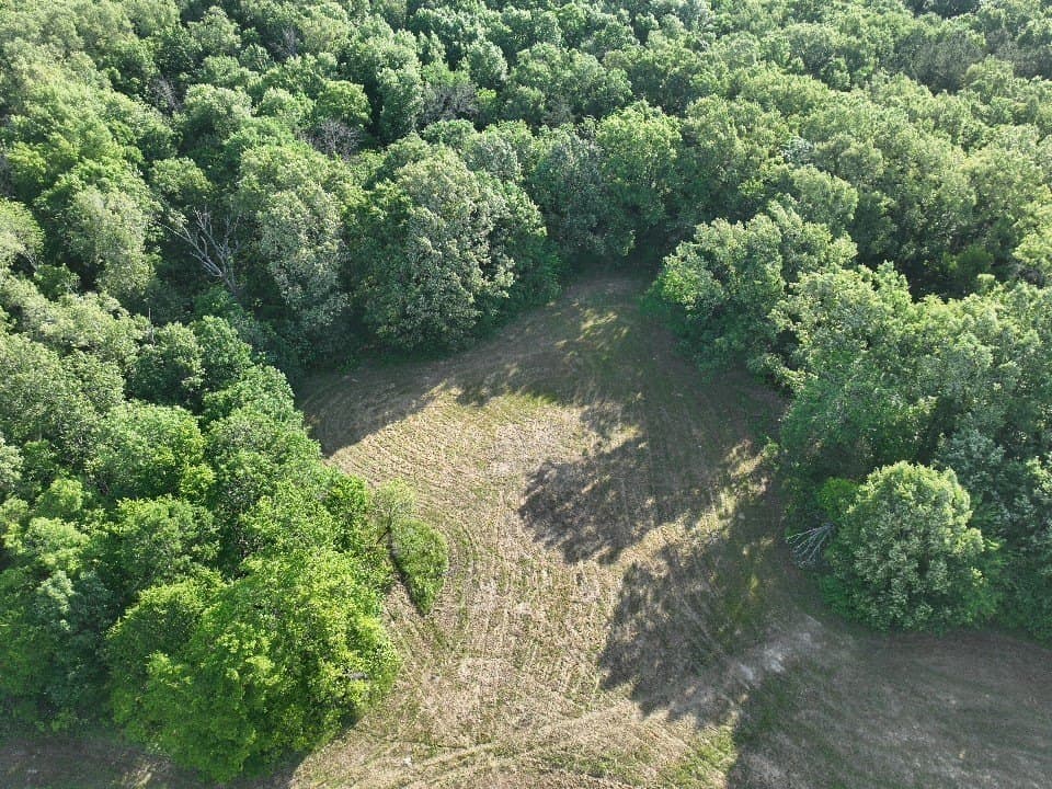 102.04 acres in Red River (TX) County - photo 13