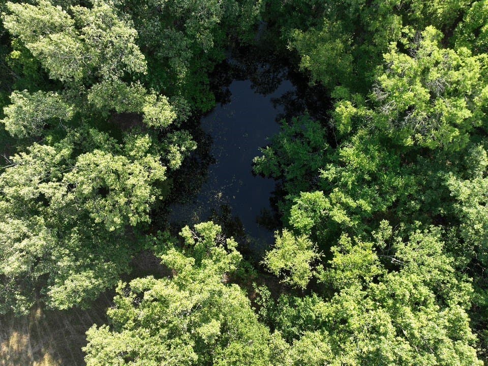 102.04 acres in Red River (TX) County - photo 12