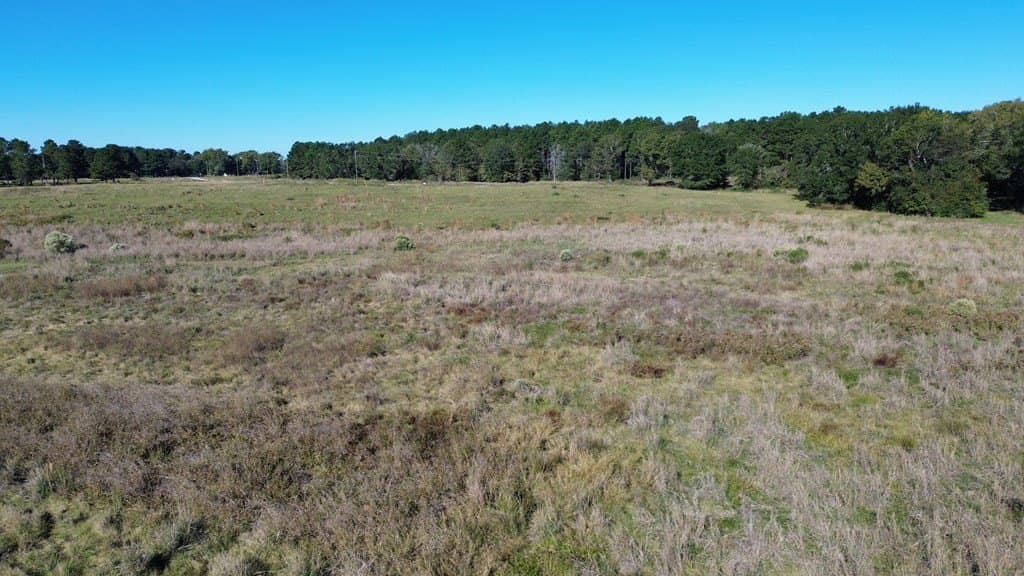 11 acres in Texas County - photo 12
