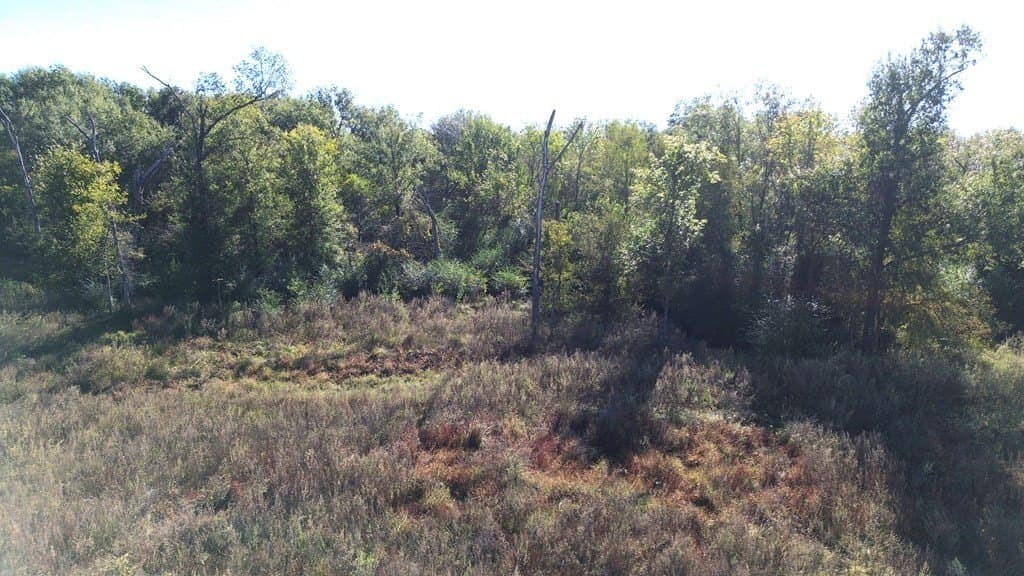 11 acres in Texas County - photo 11