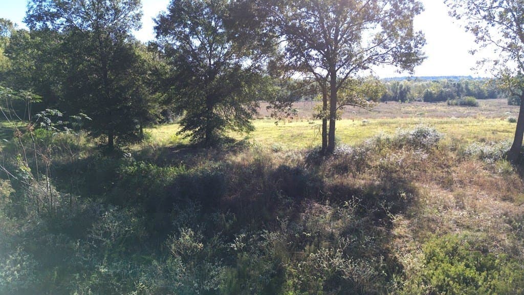 11 acres in Texas County - photo 8