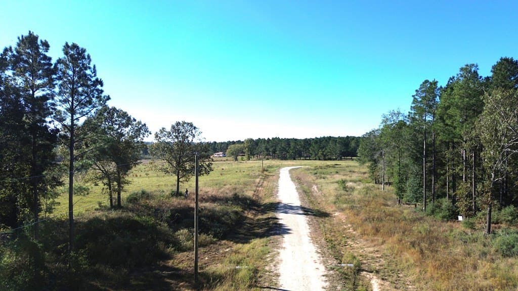 11 acres in Texas County - photo 6
