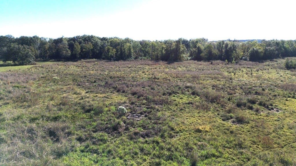 11 acres in Texas County - photo 10
