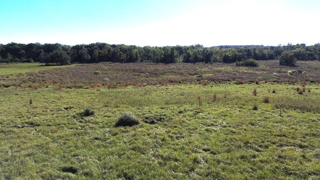 11 acres in Texas County - photo 9