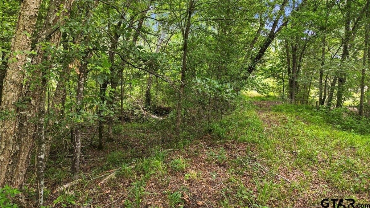 20 acres in Wood County - photo 13