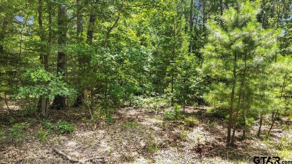 20 acres in Wood County - photo 7