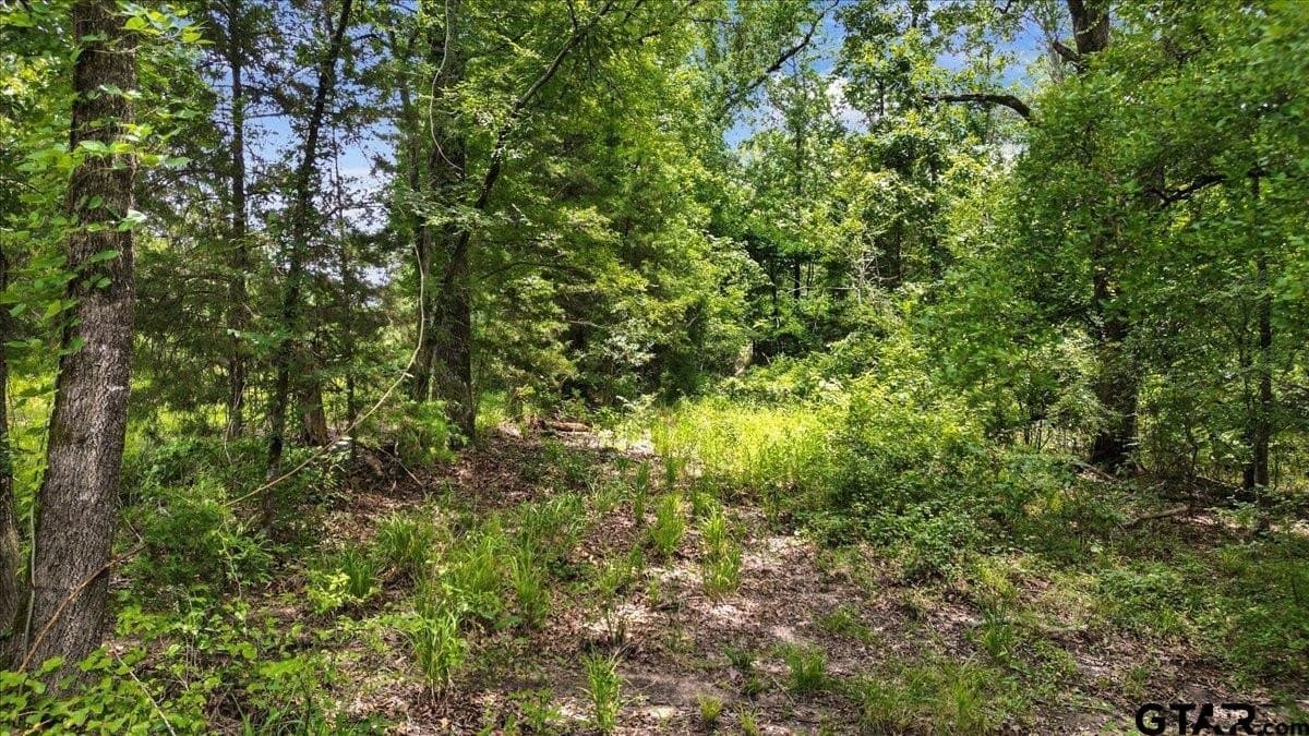 20 acres in Wood County - photo 9