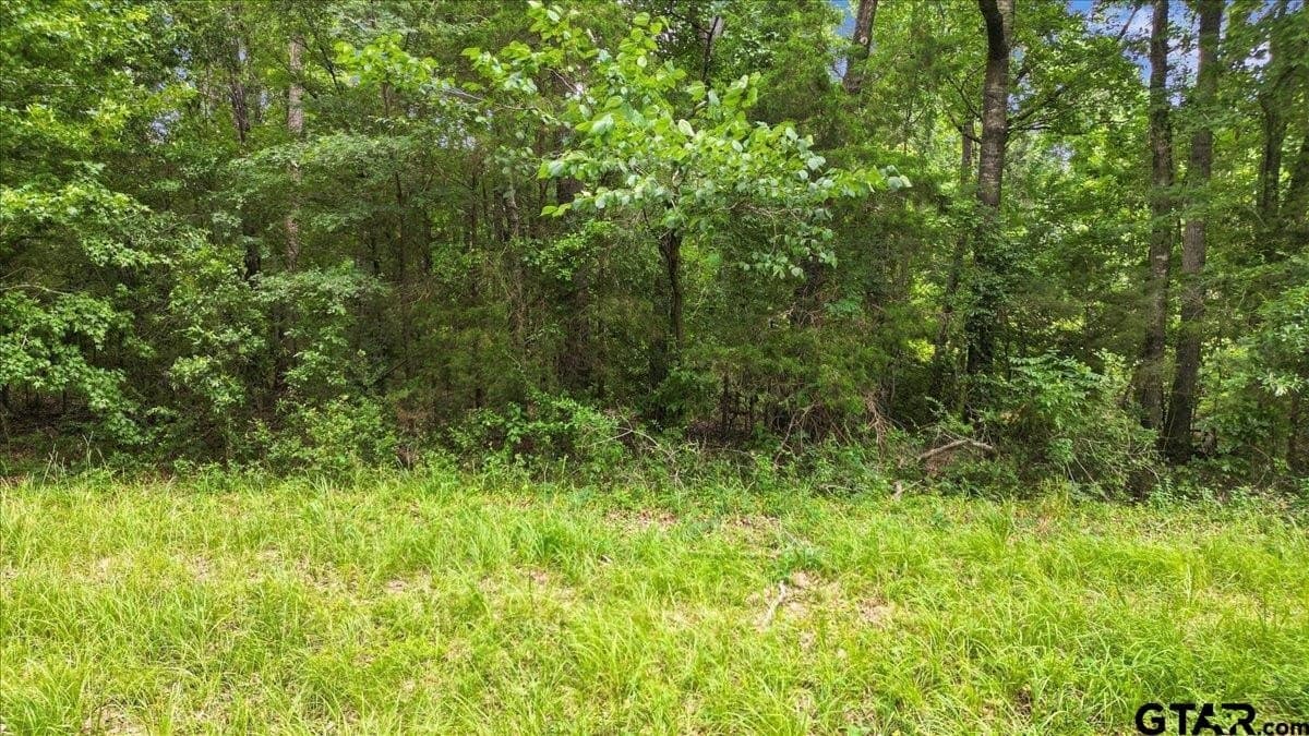 20 acres in Wood County - photo 12