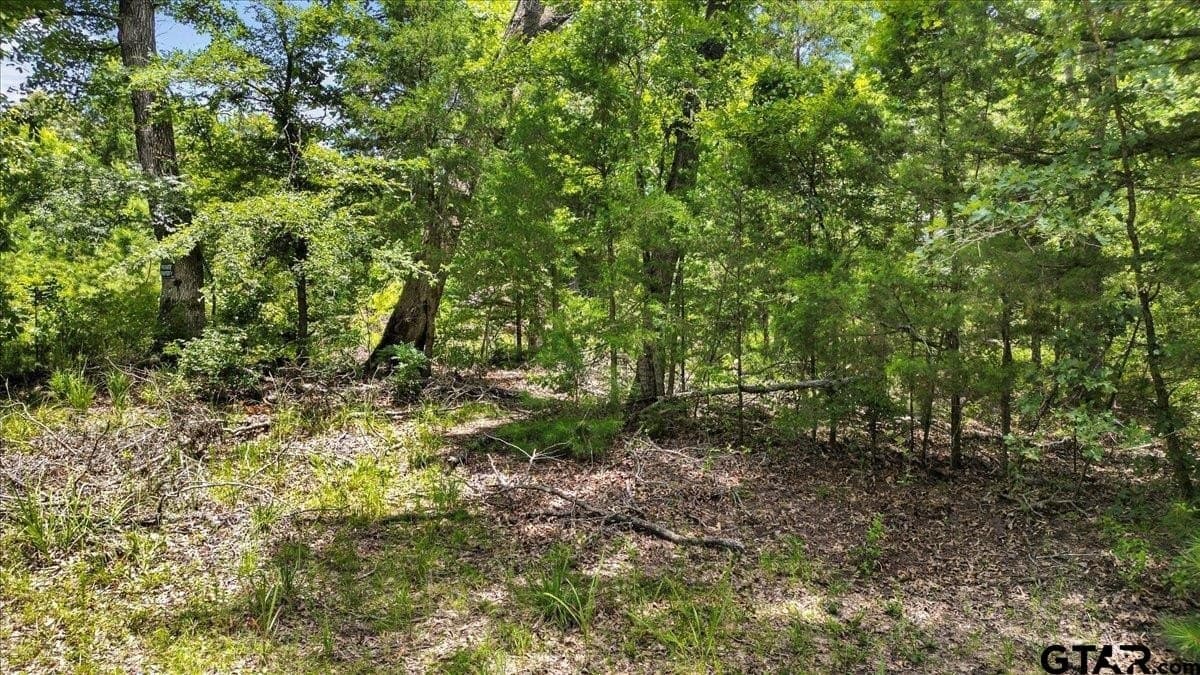 20 acres in Wood County - photo 8