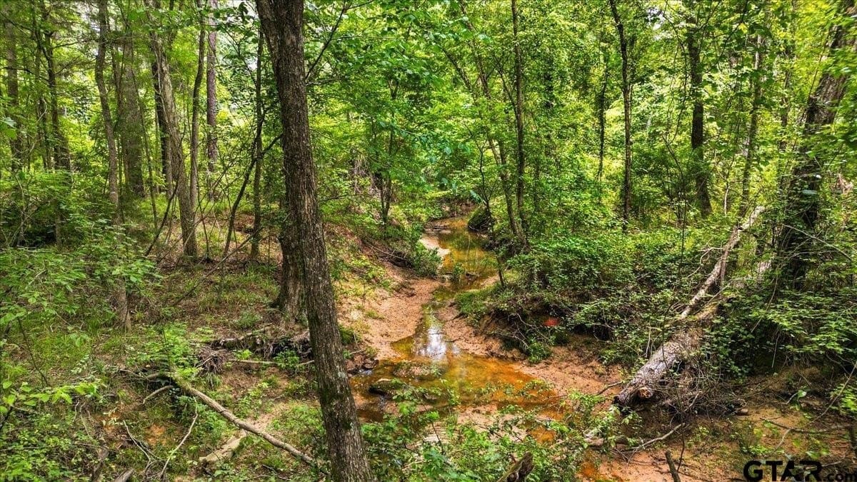 20 acres in Wood County - photo 14