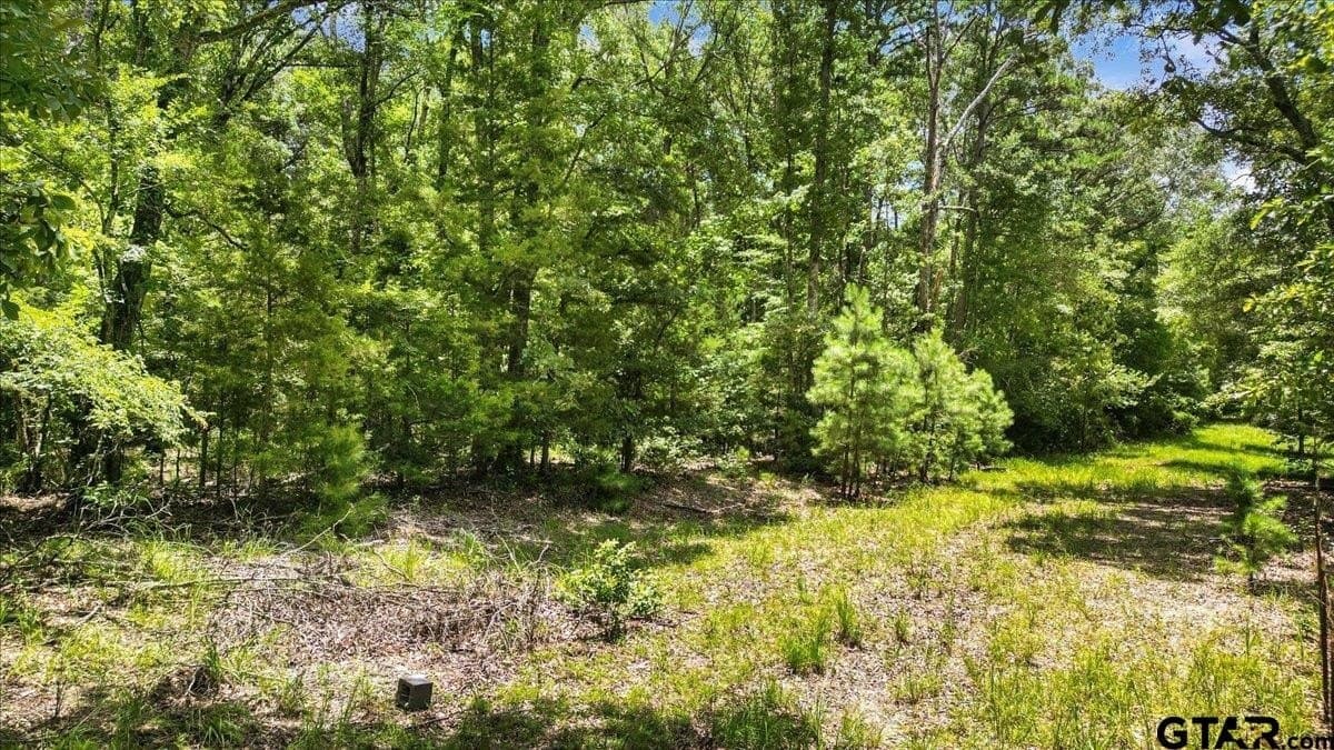 20 acres in Wood County - photo 6