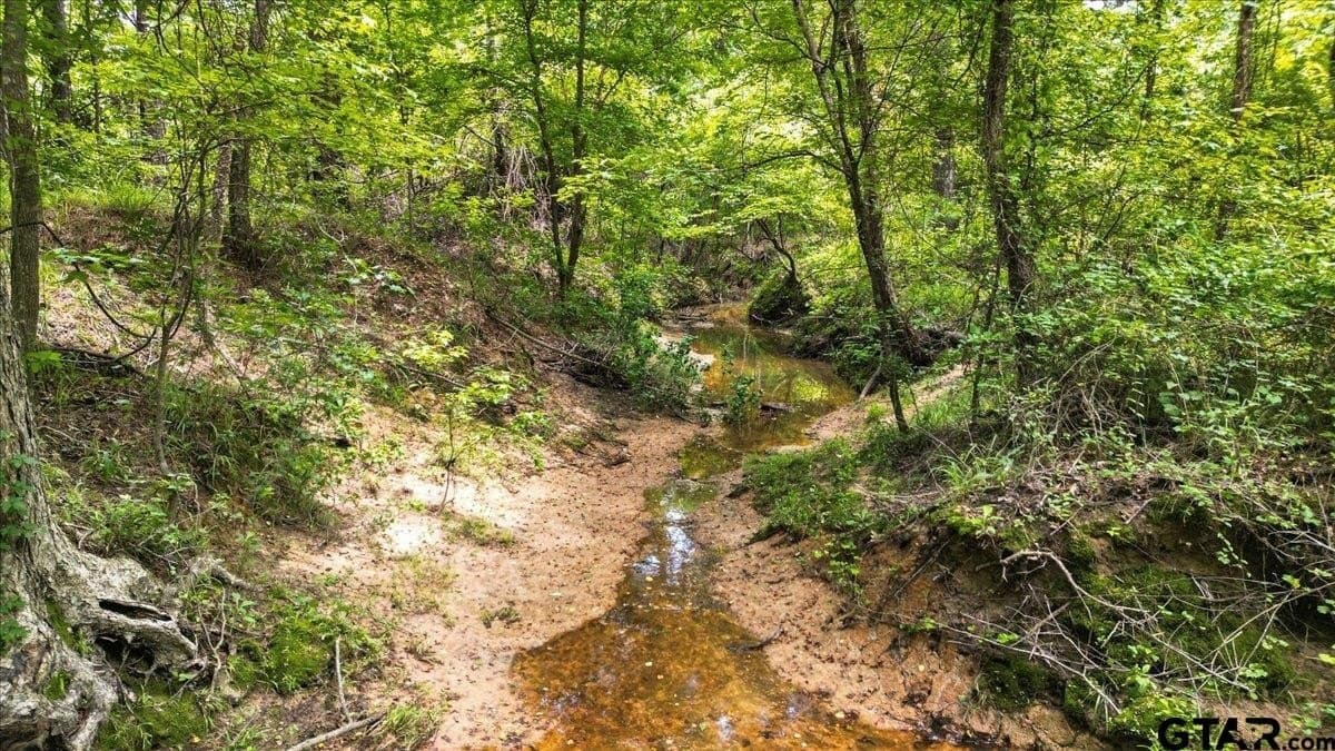 20 acres in Wood County - photo 15