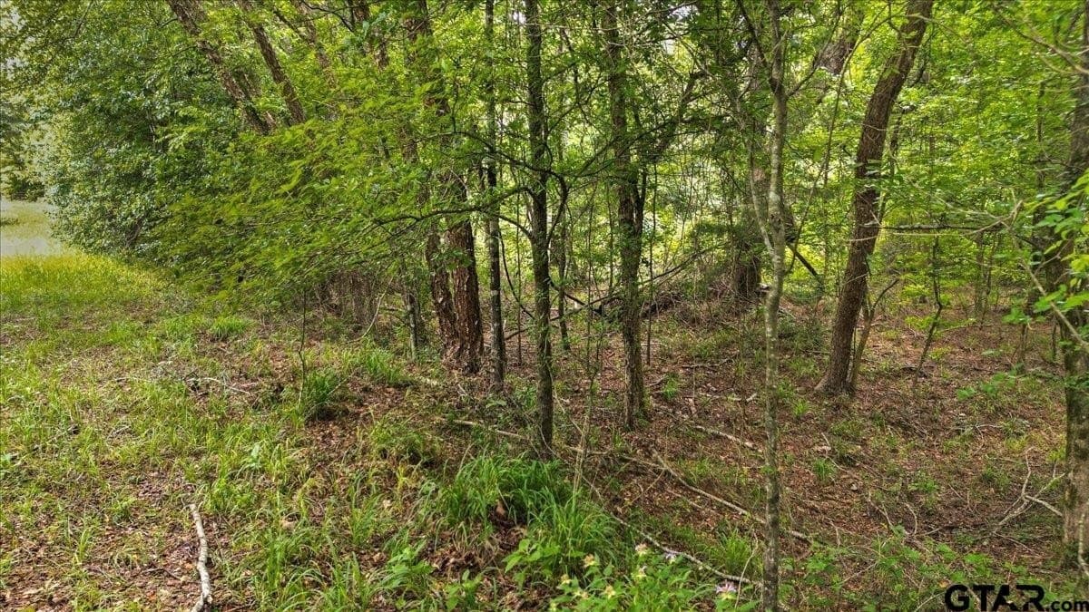 20 acres in Wood County - photo 17