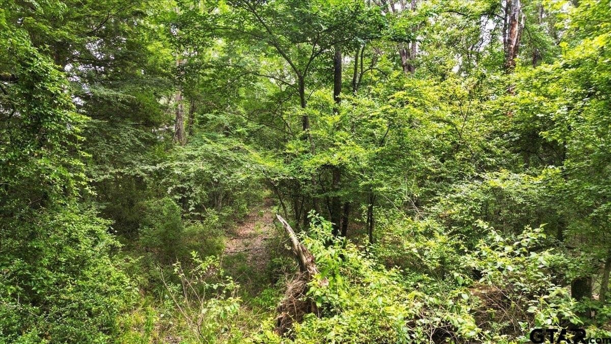 20 acres in Wood County - photo 11