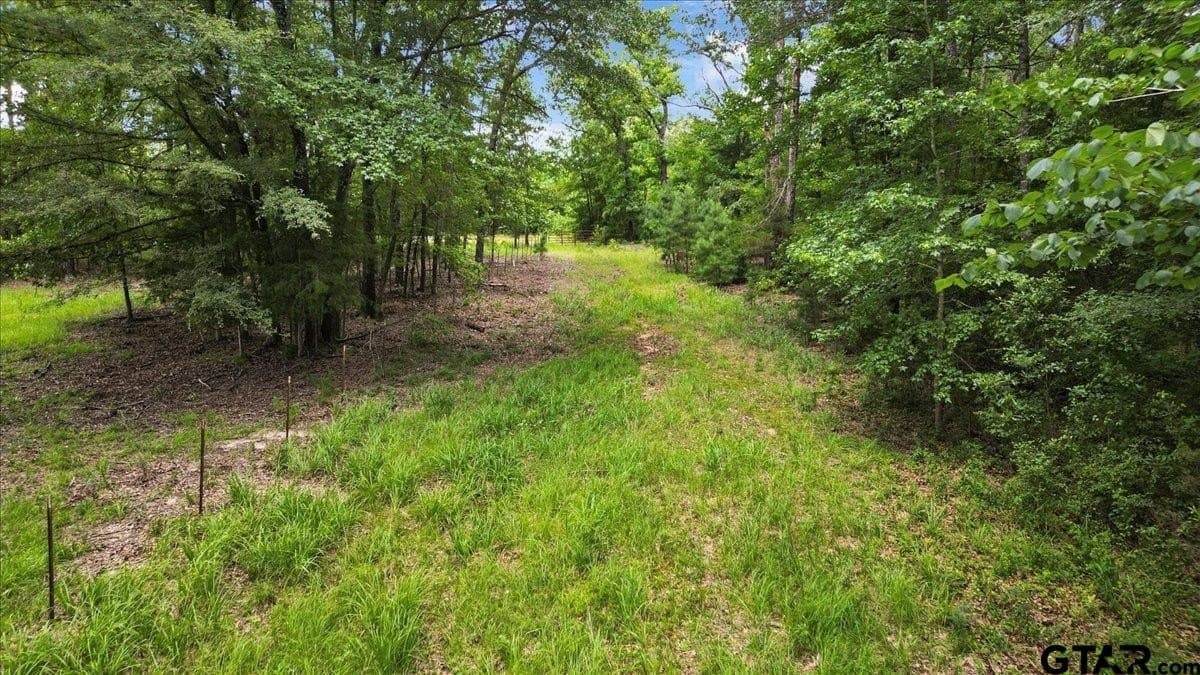 20 acres in Wood County - photo 18