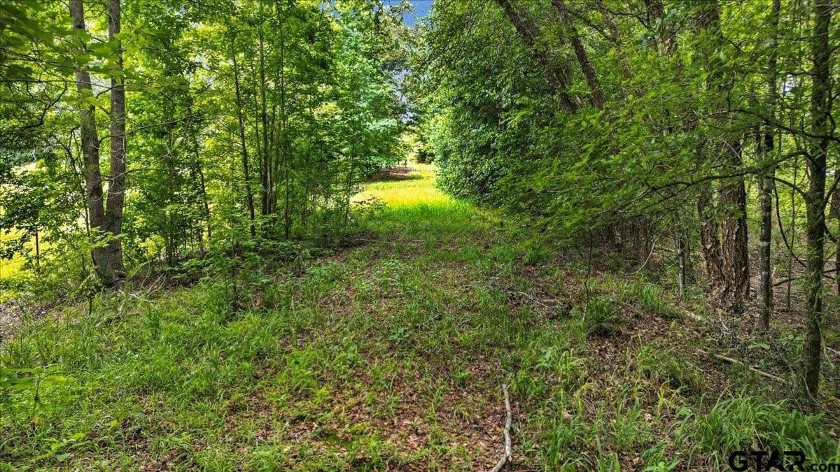 20 acres in Wood County - photo 16