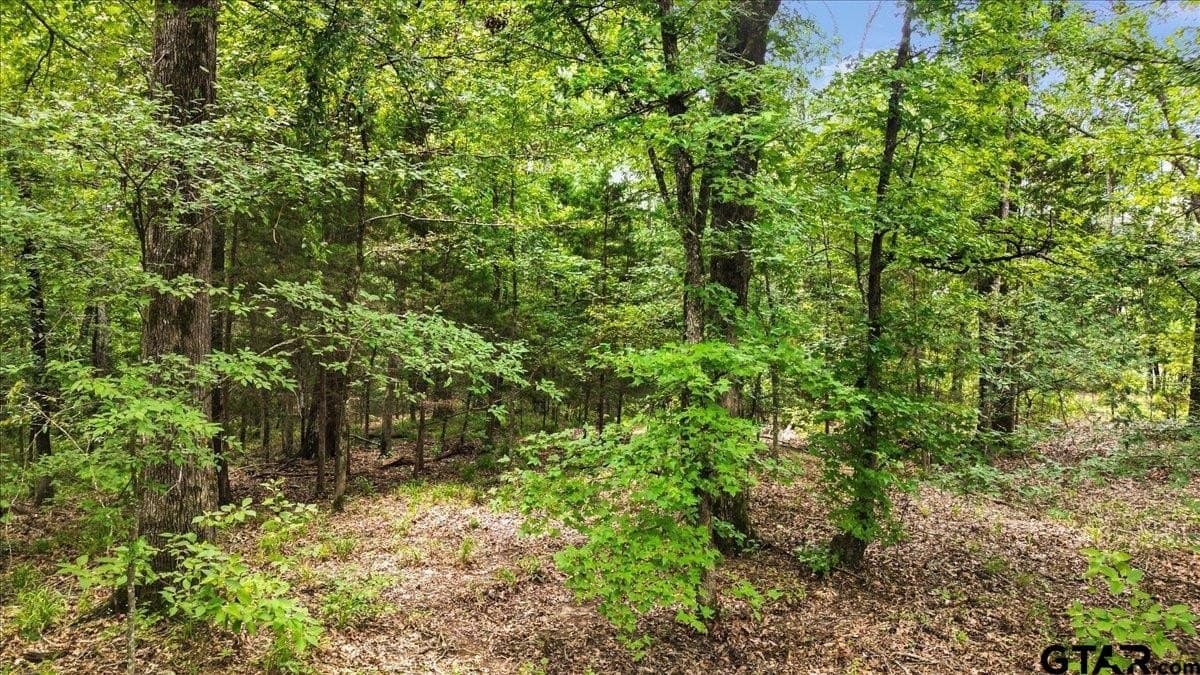 20 acres in Wood County - photo 10