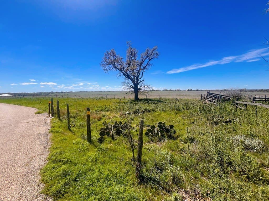 15.2 acres in Gillespie County gallery image 2