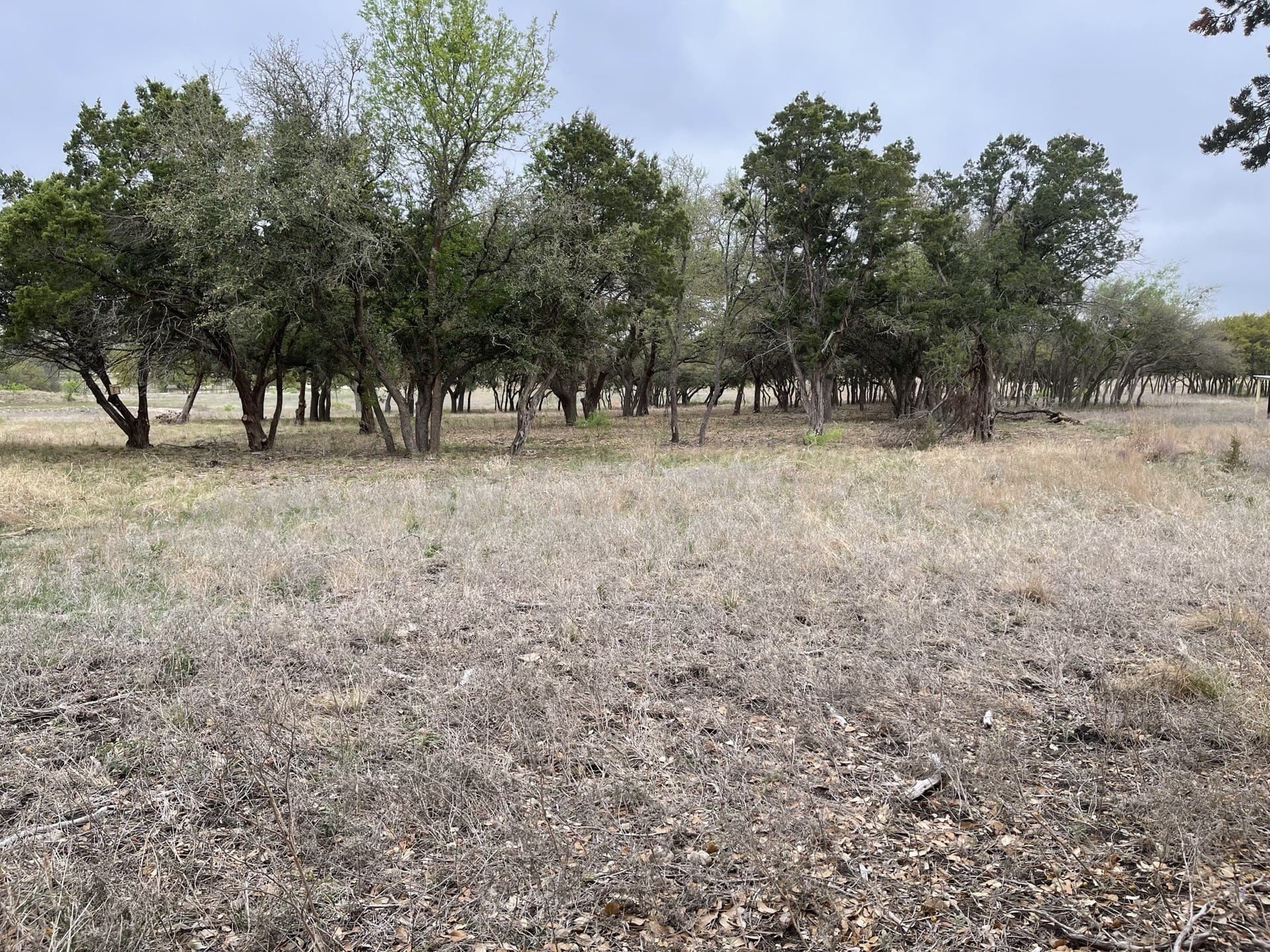 10.02 acres in Coryell County - photo 7