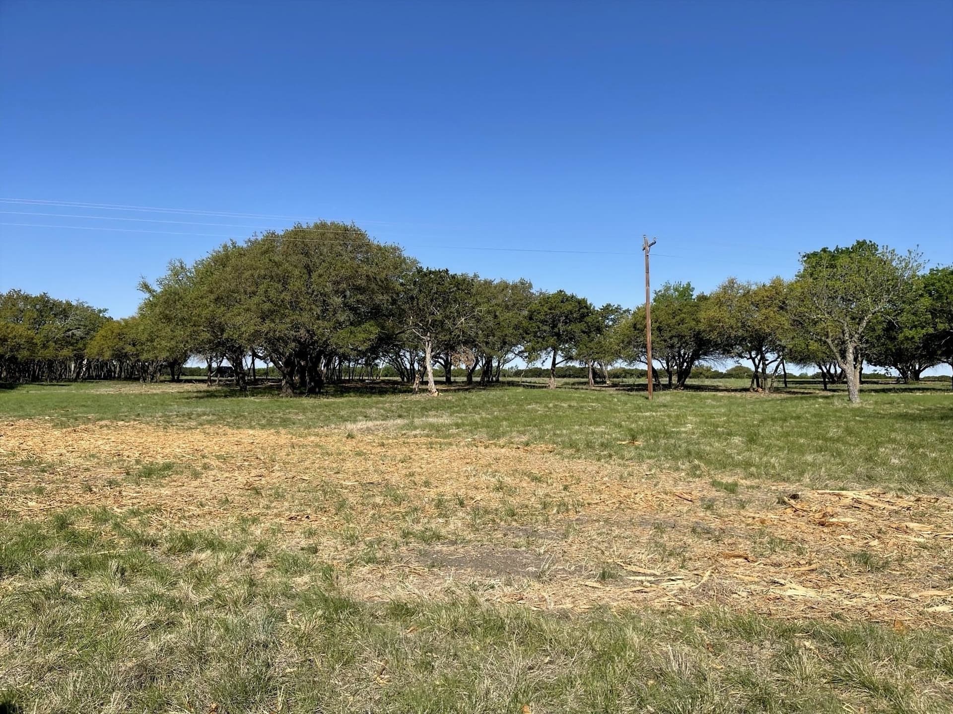 10.02 acres in Coryell County gallery image 2