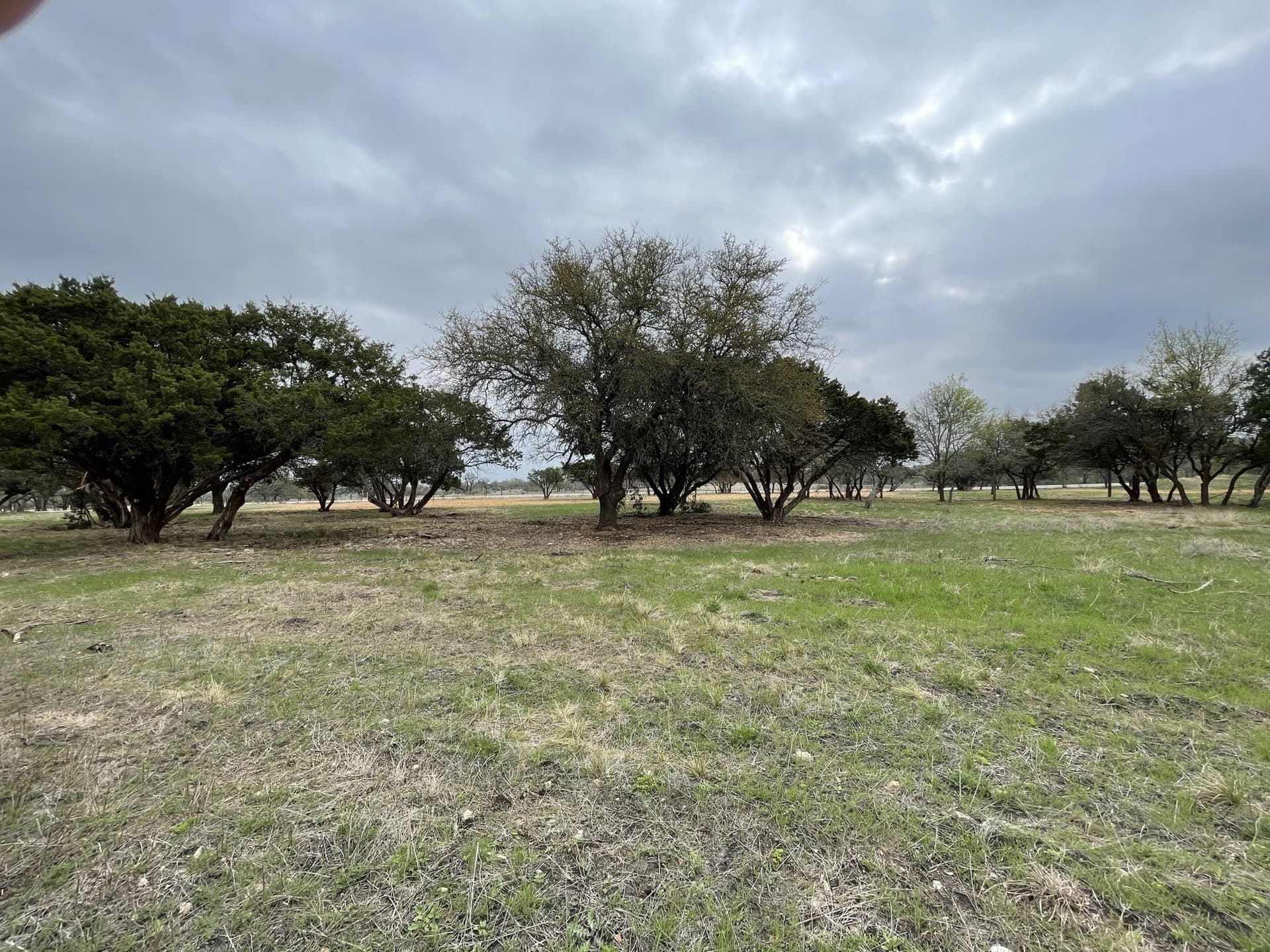 10.02 acres in Coryell County - photo 6