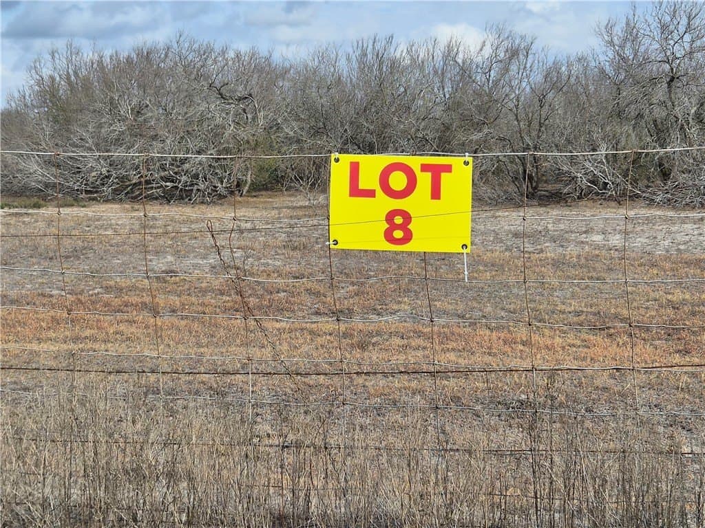 2.5 acres in Kleberg County gallery image 2