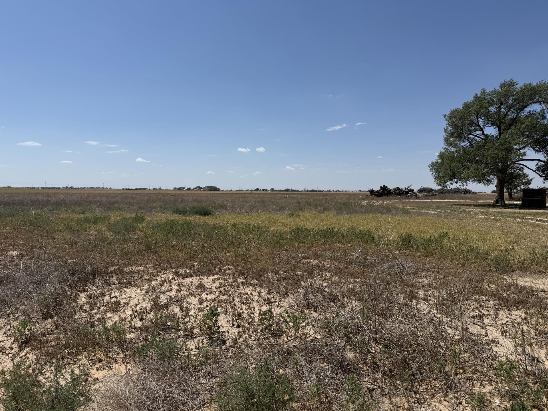 11 acres in Bailey County - photo 5