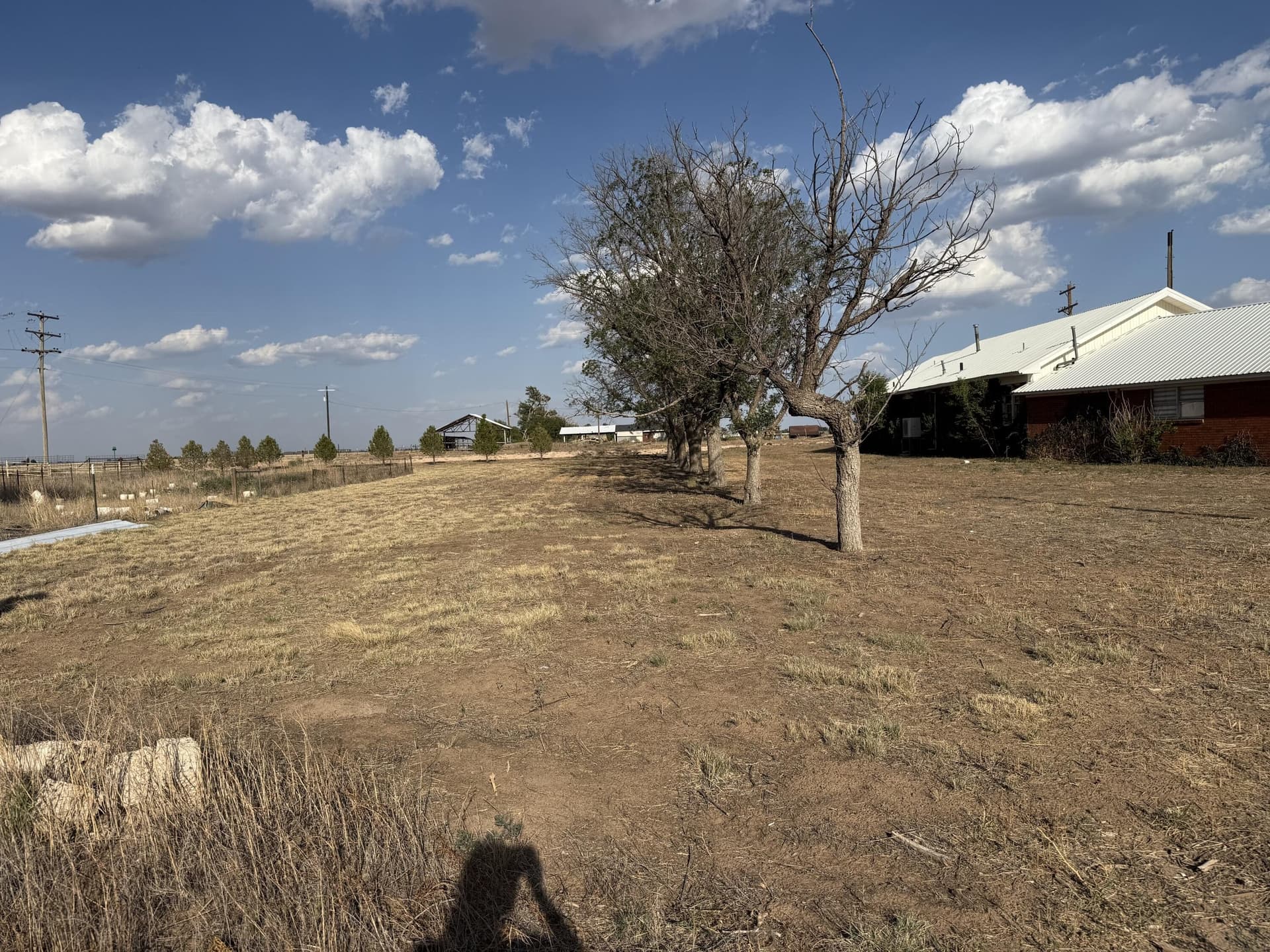 11 acres in Bailey County - photo 28