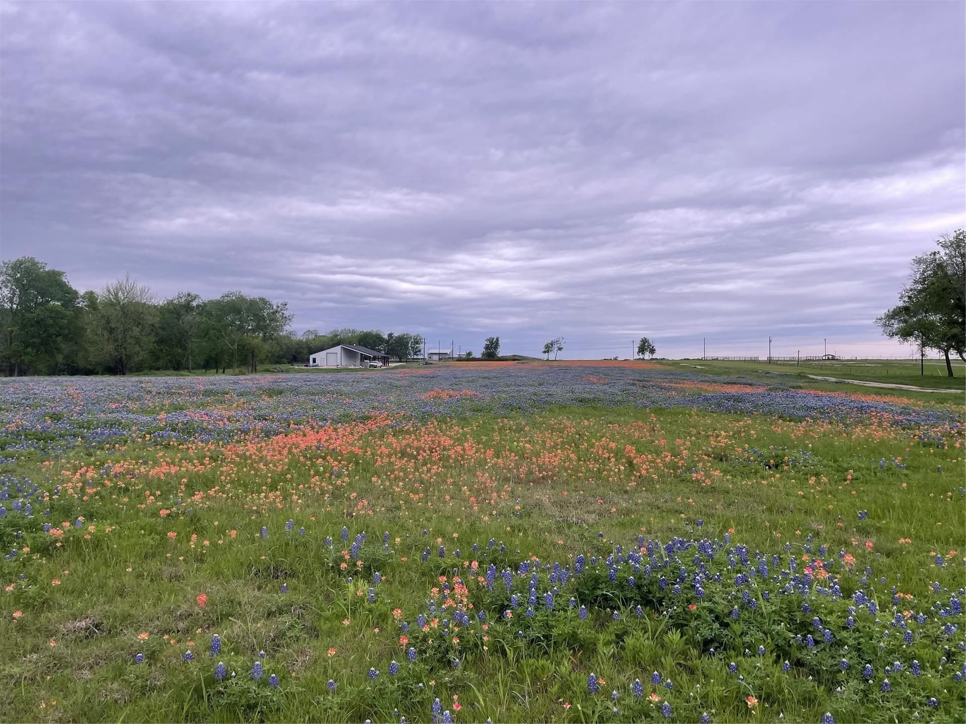12.65 acres in Ellis County - photo 22