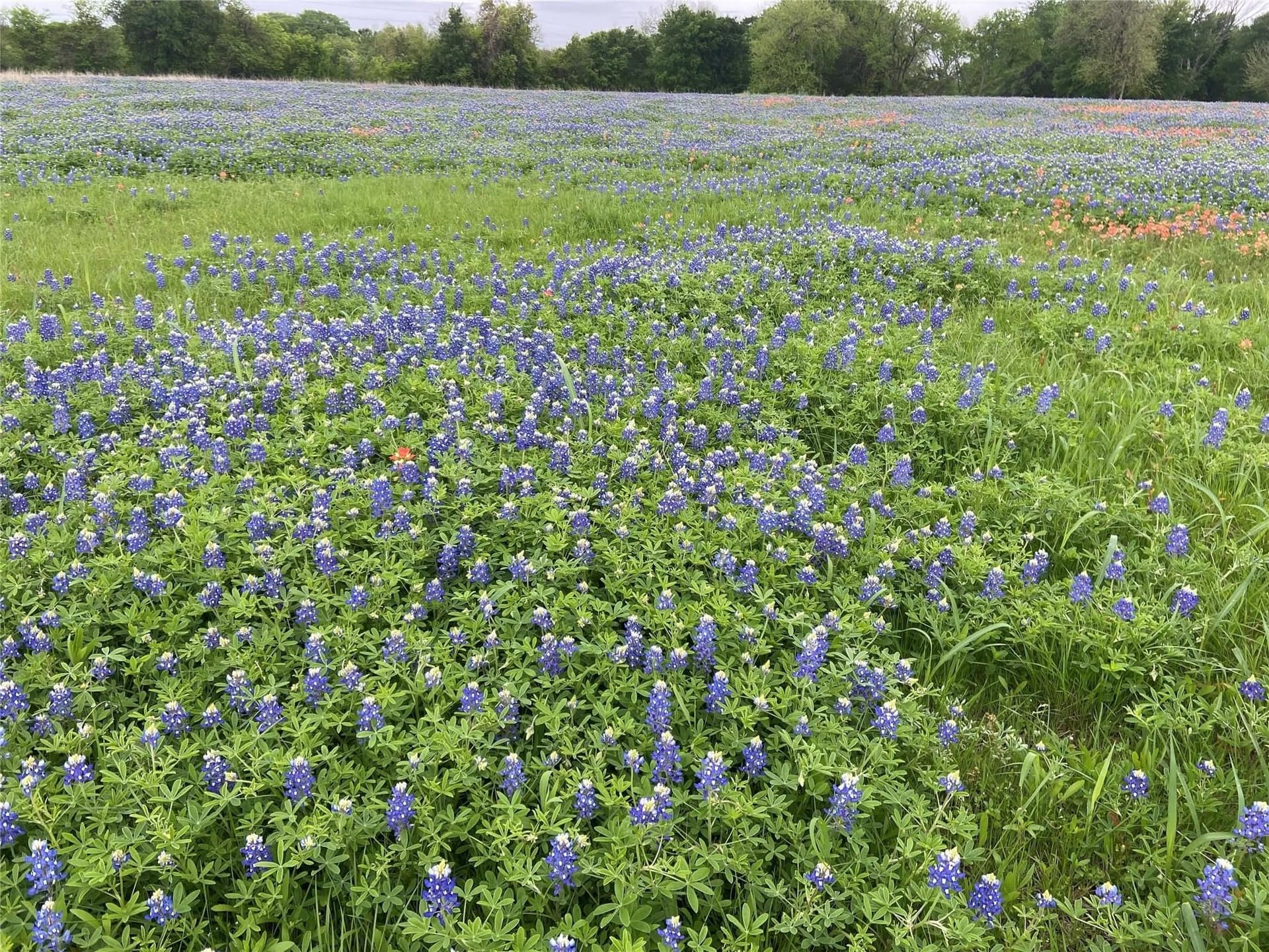 12.65 acres in Ellis County - photo 21