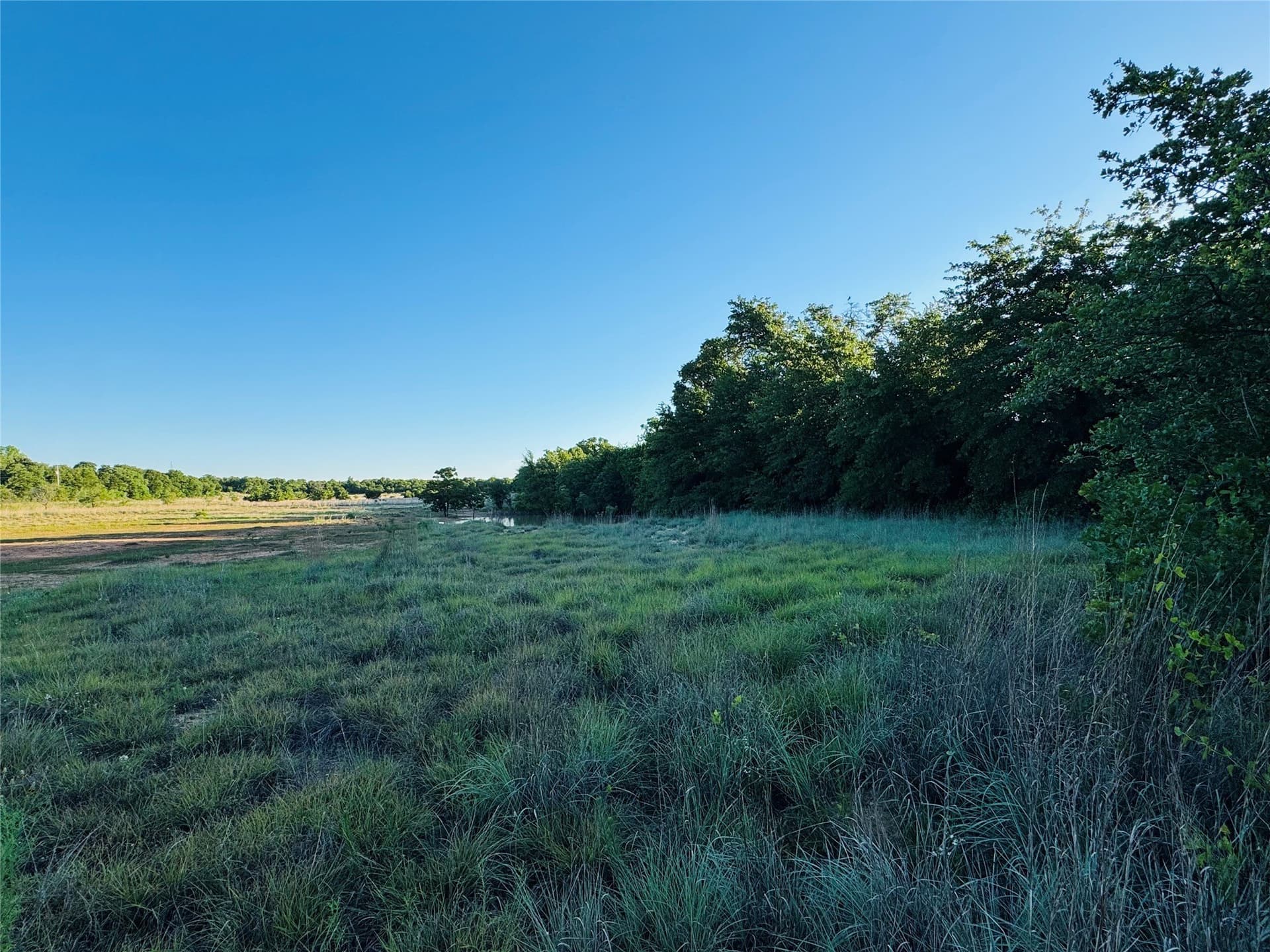 20 acres in Callahan County - photo 2