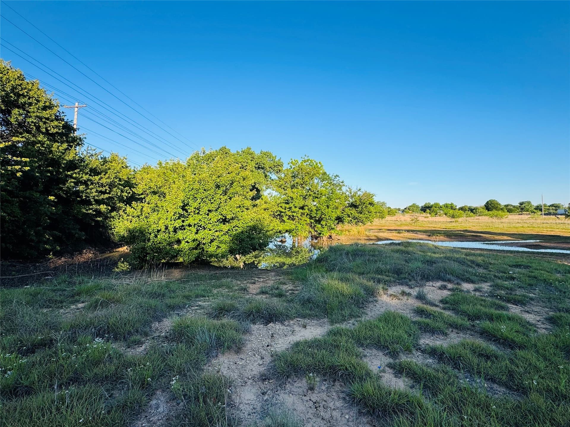 20 acres in Callahan County - photo 4