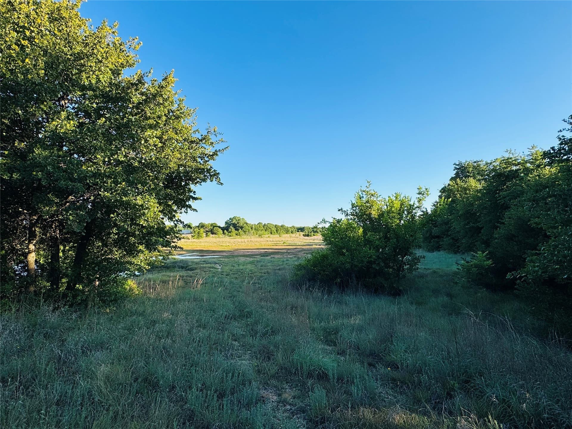 20 acres in Callahan County
