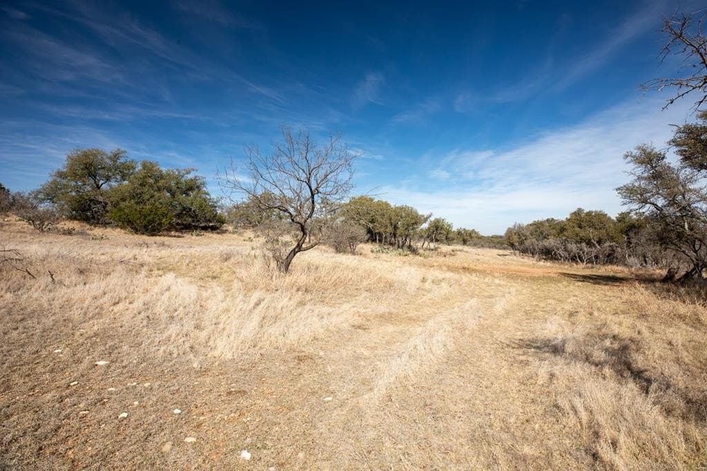 16.9 acres in Mason County gallery image 3