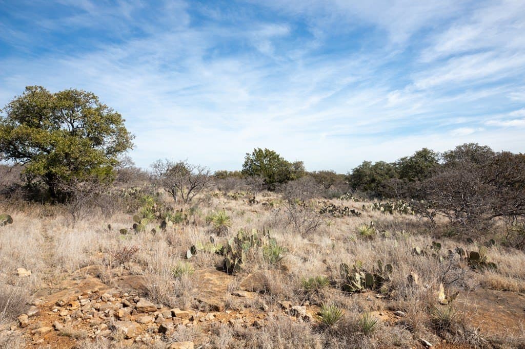 16.9 acres in Mason County gallery image 2