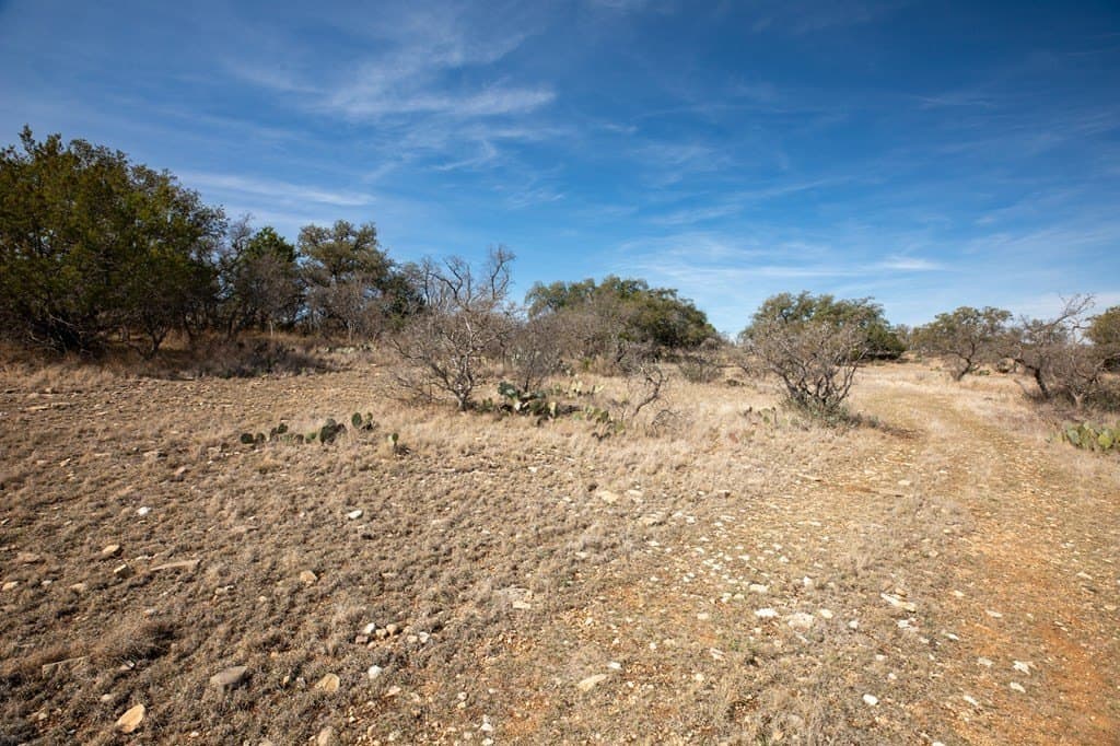 16.9 acres in Mason County featured view