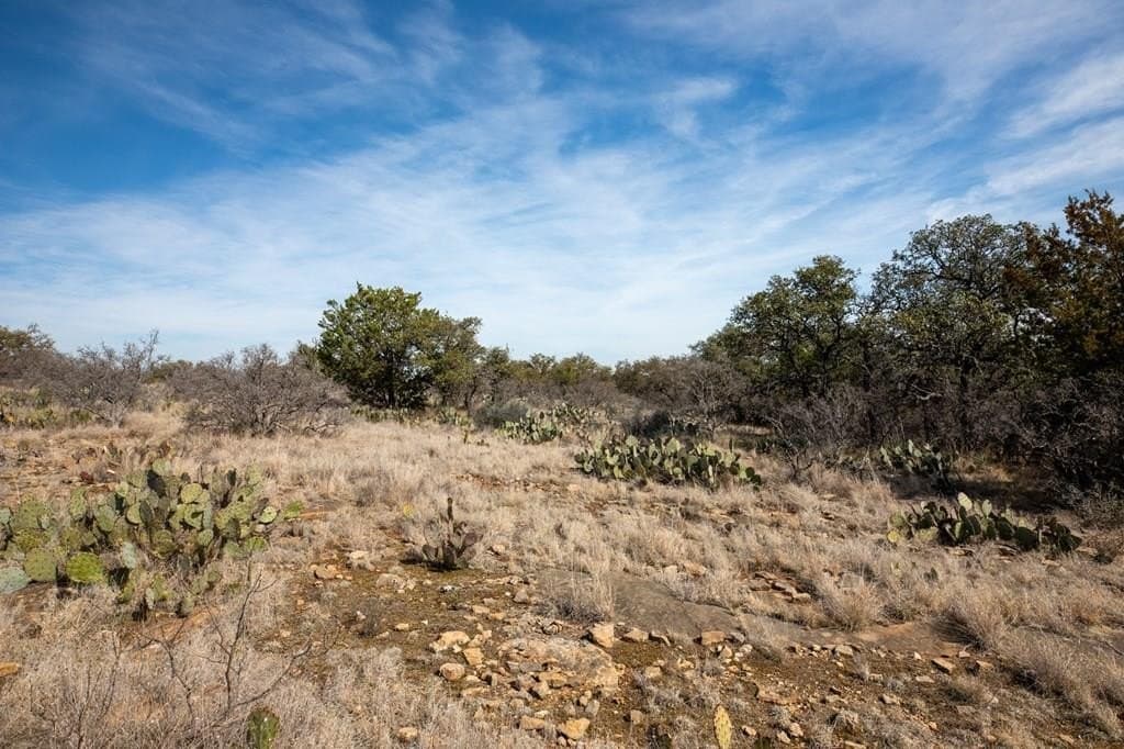 16.9 acres in Mason County