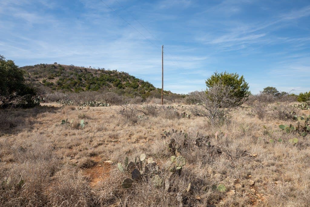 16.9 acres in Mason County gallery image 4