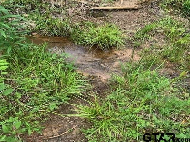 120.68 acres in Smith County - photo 7