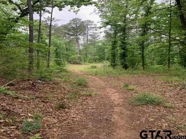 120.68 acres in Smith County - photo 14