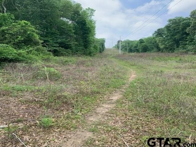 120.68 acres in Smith County - photo 8