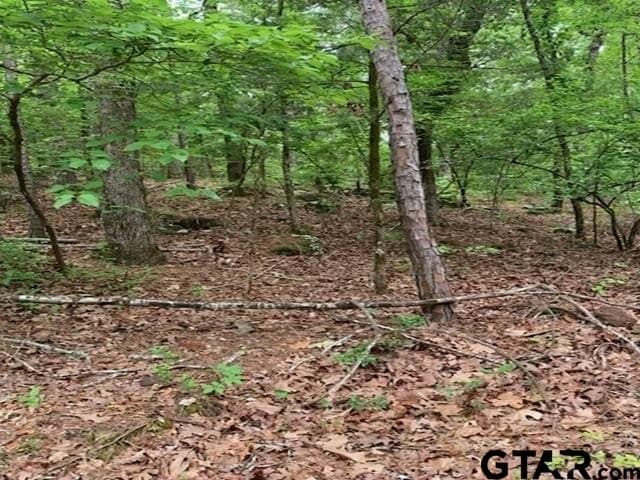 120.68 acres in Smith County - photo 13